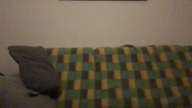 Totipro69 online show from December 2024 10:19:01 PM