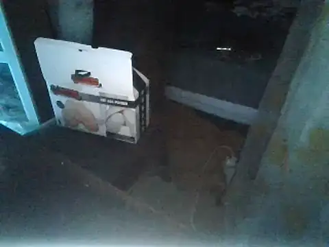 rubiomdz online show from January 2025 10:57:02 PM