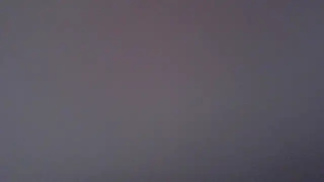 paytonkelly online show from April 2026 01:12:01 PM