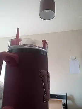 Milky flexy cat online show from March 2025 11:37:02 AM