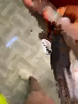 Bigcock 254 online show from May 2026 08:36:02 PM