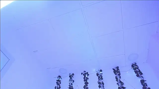 Snapshot of SophieHill_gh chatting on January 2025 01:27:01 AM SophieHill gh online show from January 2025 01:27:01 AM