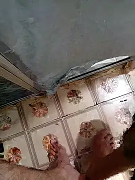 Din0071 online show from December 2025 12:29:02 AM