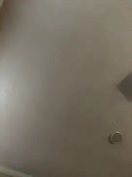 Snapshot of velvetta_ chatting on December 2025 01:06:01 PM velvetta online show from December 2025 01:06:01 PM