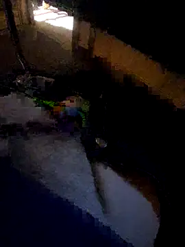 Snapshot of daddysmalldick502 chatting on November 2025 06:40:02 PM daddysmalldick502 online show from November 2025 06:40:02 PM