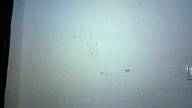 Snapshot of Bellabeltrann chatting on October 2025 09:12:02 PM Bellabeltrann online show from October 2025 09:12:02 PM