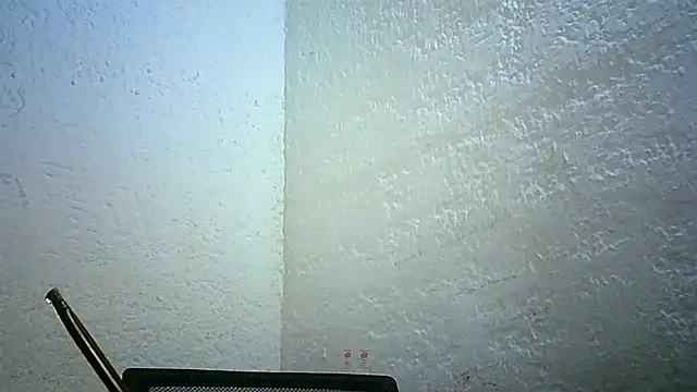 Snapshot of Bellabeltrann chatting on November 2025 11:42:02 PM Bellabeltrann online show from November 2025 11:42:02 PM