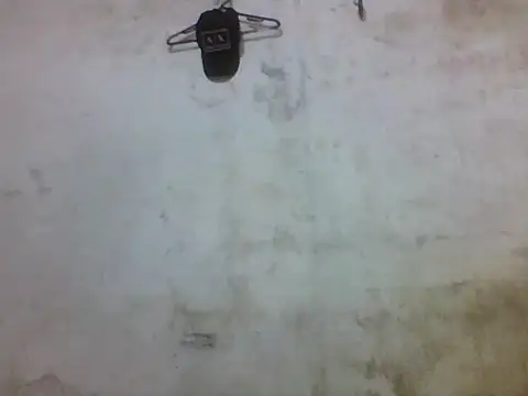 Snapshot of Leopardogonza chatting on October 2025 11:38:01 PM Leopardogonza online show from October 2025 11:38:01 PM