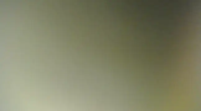 Lovensetest online show from March 2025 11:55:02 AM