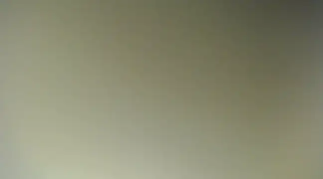 Lovensetest online show from March 2025 10:36:01 AM