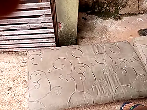 wel9238 online show from February 2026 04:38:01 PM