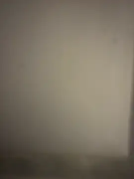 orient zob online show from January 2026 02:47:02 AM