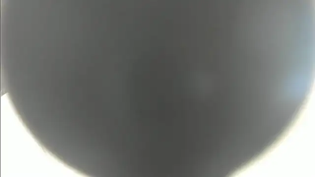Snapshot of linasantoss chatting on January 2025 05:13:01 PM linasantoss online show from January 2025 05:13:01 PM