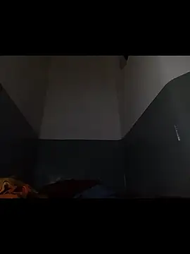 Snapshot of aquilesmade chatting on November 2025 03:14:02 PM aquilesmade online show from November 2025 03:14:02 PM