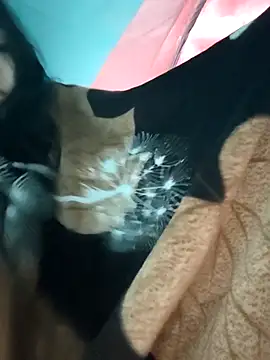 Angel Anamika online show from November 2025 12:22:01 AM