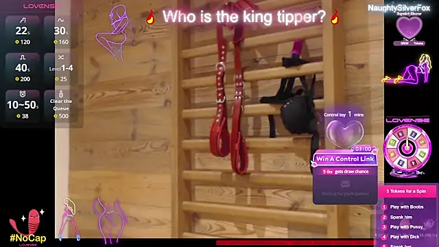 Snapshot of NaughtySilverFox chatting on February 2025 02:16:01 PM NaughtySilverFox online show from February 2025 02:16:01 PM