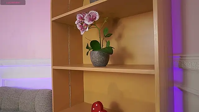 Anybuny online show from November 2025 11:54:01 AM