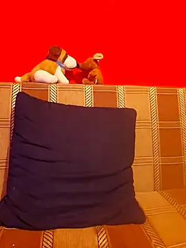 Snapshot of Aian09 chatting on January 2025 02:54:01 AM Aian09 online show from January 2025 02:54:01 AM