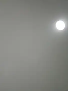 Amber Rush  online show from September 2025 05:45:01 PM