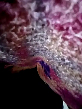 Snapshot of morenogts69 chatting on October 2025 01:29:01 PM morenogts69 online show from October 2025 01:29:01 PM