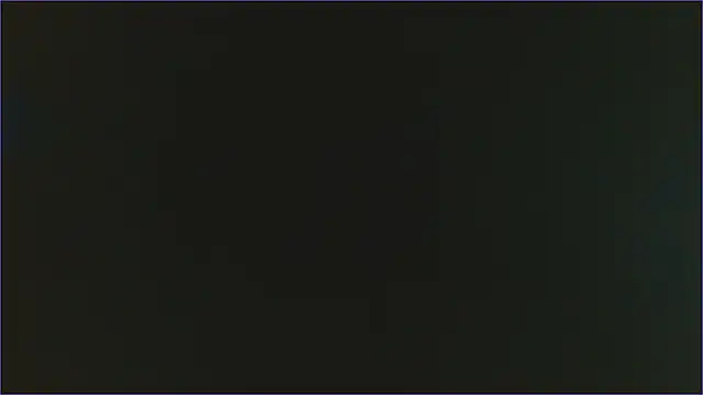 Geisha Seniers online show from February 2025 06:44:01 PM