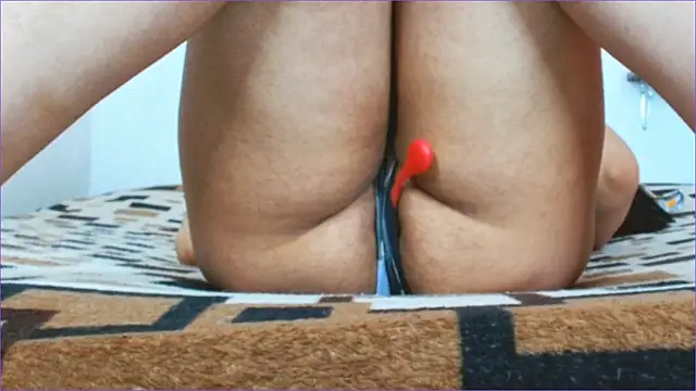 Geisha Seniers online show from March 2026 12:55:01 PM