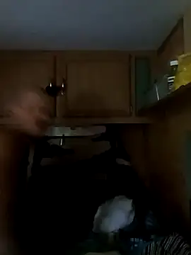 tjmacksjr online show from October 2025 07:01:02 PM