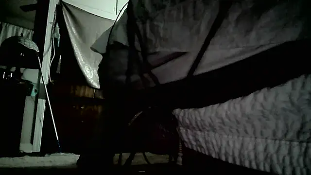 Snapshot of paiday chatting on December 2024 04:43:02 PM paiday online show from December 2024 04:43:02 PM