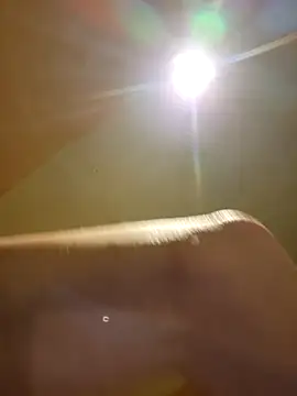 Snapshot of BigDDave6979 chatting on March 2025 01:37:02 AM BigDDave6979 online show from March 2025 01:37:02 AM