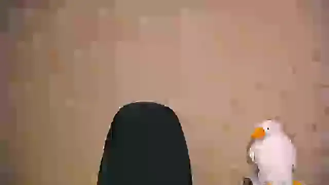 Snapshot of _your_fantasy_girl chatting on February 2025 01:00:02 PM your fantasy girl online show from February 2025 01:00:02 PM