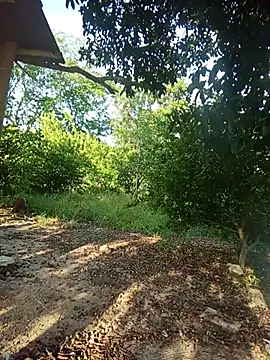 Snapshot of natally_ross21 chatting on February 2026 12:43:02 PM natally ross21 online show from February 2026 12:43:02 PM