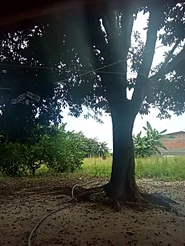 Snapshot of natally_ross21 chatting on February 2026 01:26:02 PM natally ross21 online show from February 2026 01:26:02 PM