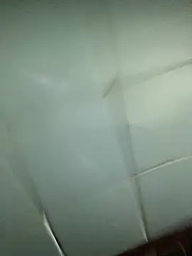 luna asss online show from February 2026 12:29:01 AM