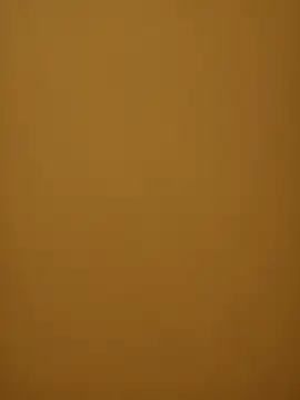 Chriso0007 online show from March 2025 11:45:02 AM