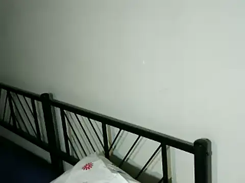 100Tauros online show from October 2025 09:19:01 AM