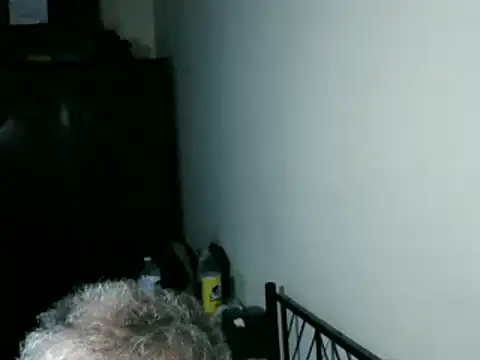 100Tauros online show from March 2026 08:51:01 AM