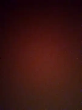 mendelicius online show from February 2025 02:33:01 PM