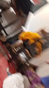 Snapshot of emma_neko chatting on November 2025 06:40:02 PM emma neko online show from November 2025 06:40:02 PM