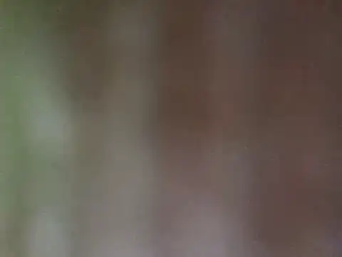 misu09 online show from February 2025 03:04:02 PM