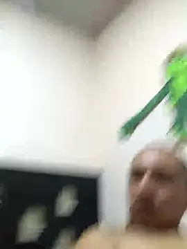 notid online show from October 2025 07:58:01 PM