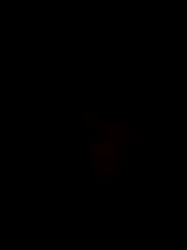 Ner0924 N online show from December 2024 04:31:01 PM