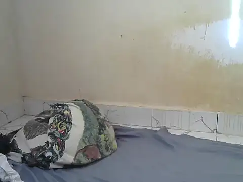 Snapshot of Zenath_ chatting on July 2026 05:11:01 AM Zenath online show from July 2026 05:11:01 AM