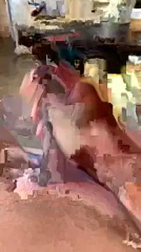 Snapshot of elber-gdo chatting on February 2025 10:55:01 PM elber-gdo online show from February 2025 10:55:01 PM