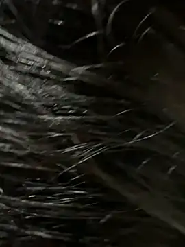 Snapshot of elber-gdo chatting on February 2025 04:14:02 AM elber-gdo online show from February 2025 04:14:02 AM