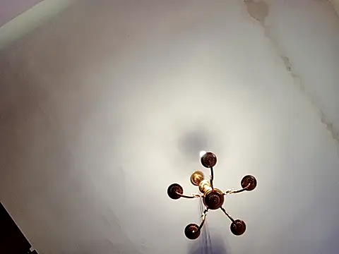 katymojadit online show from March 2025 01:29:01 PM