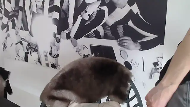 godinflower online show from February 2026 02:18:01 PM