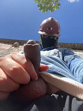 king cum  online show from November 2025 11:10:01 AM