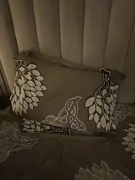 shrreyyyy online show from February 2026 07:07:01 PM