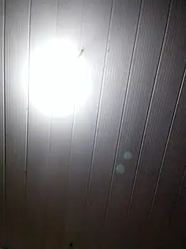 Transthifany online show from September 2025 04:14:02 AM