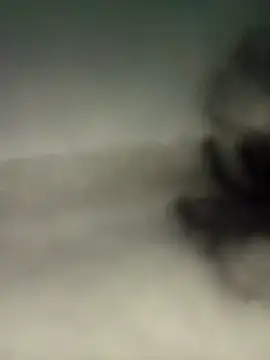 alexmoragomez online show from April 2026 12:46:02 AM